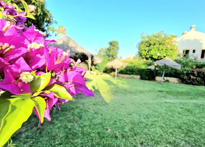 Aa Guest - Piscis Mountain View Eco Apartment